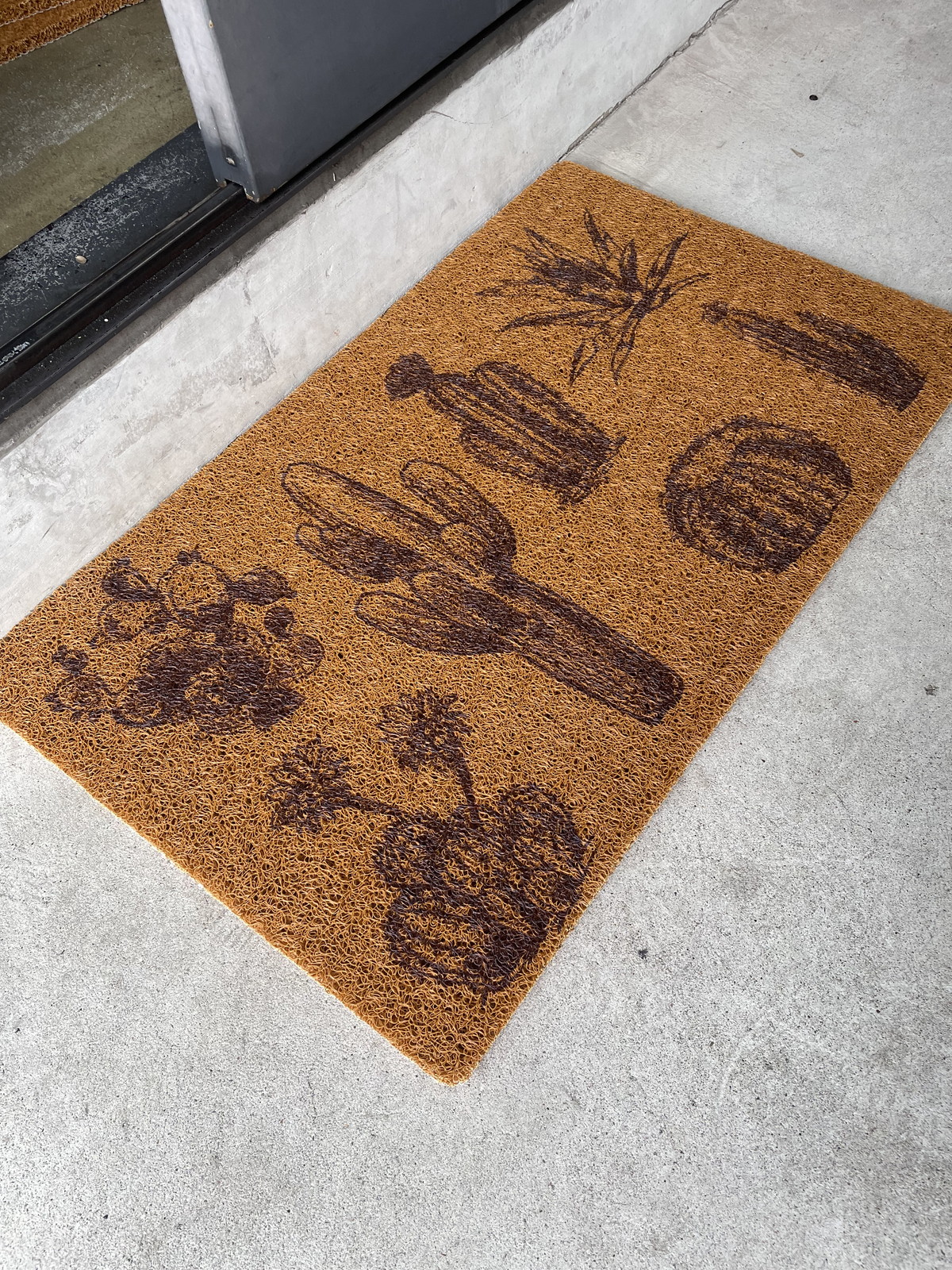 �y�l��z���s�z̶̶�׽ϯ� Saboten