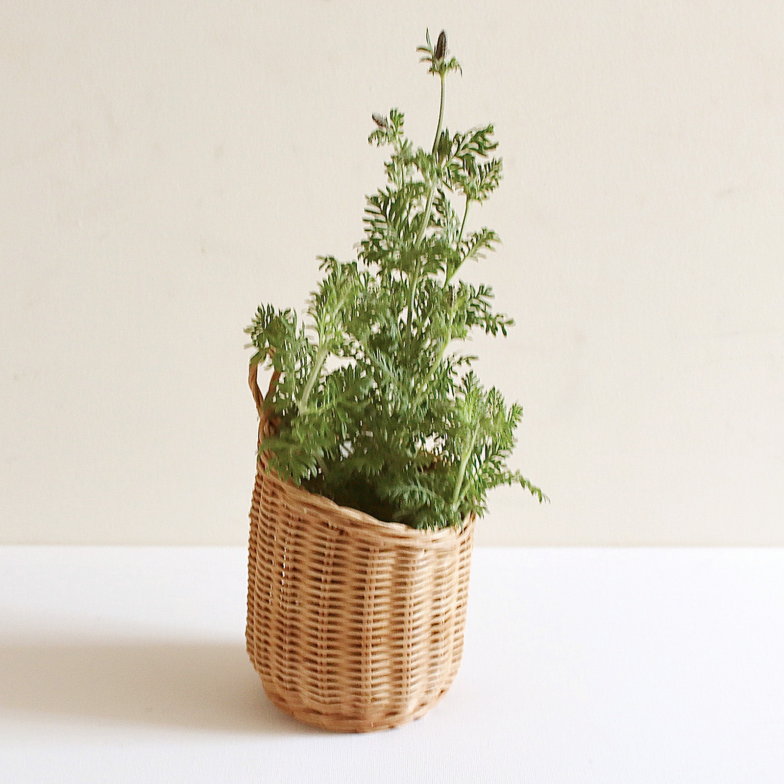 �y�l��z���s�zMERRY  �޽����ݷ�ݸ�