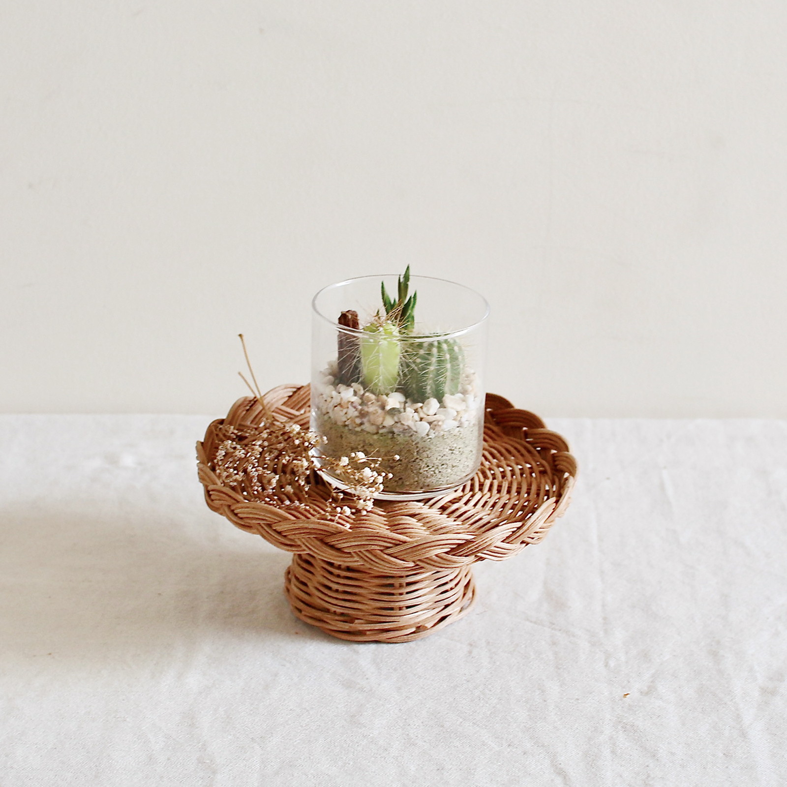 �y�l��z���s�zMERRY �޽��Ľ�����ڲ S��