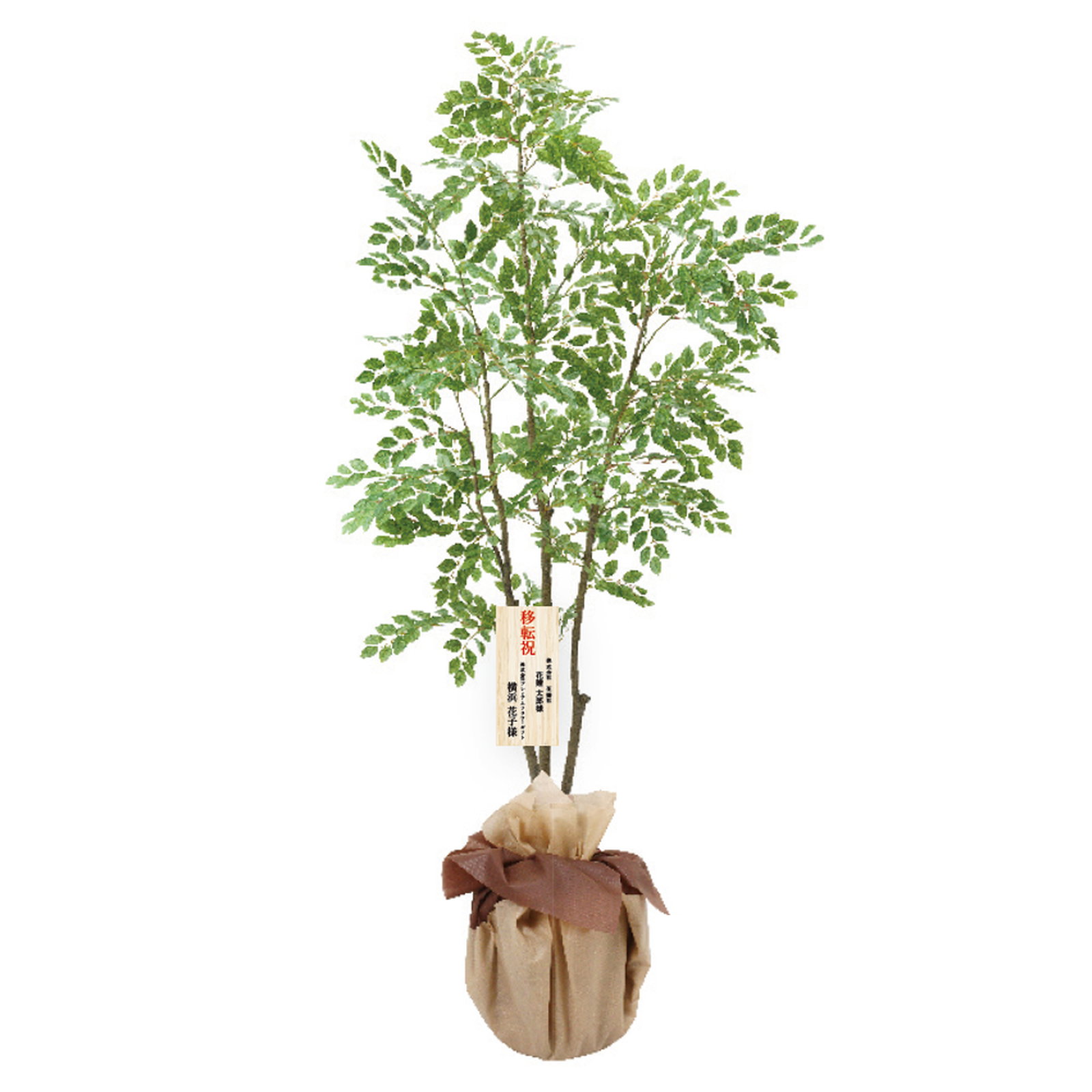 �y�����ʓr�z����180CM����ݺ���߯�