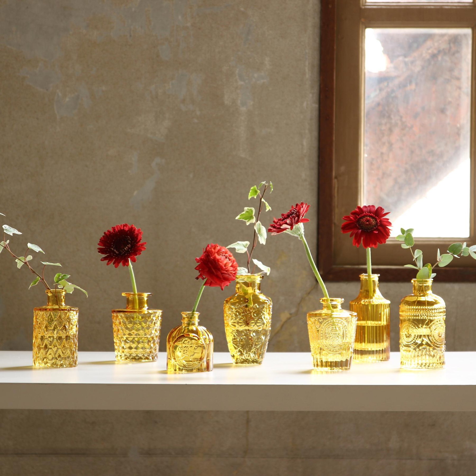 ylzsz(6)ܰް  ް