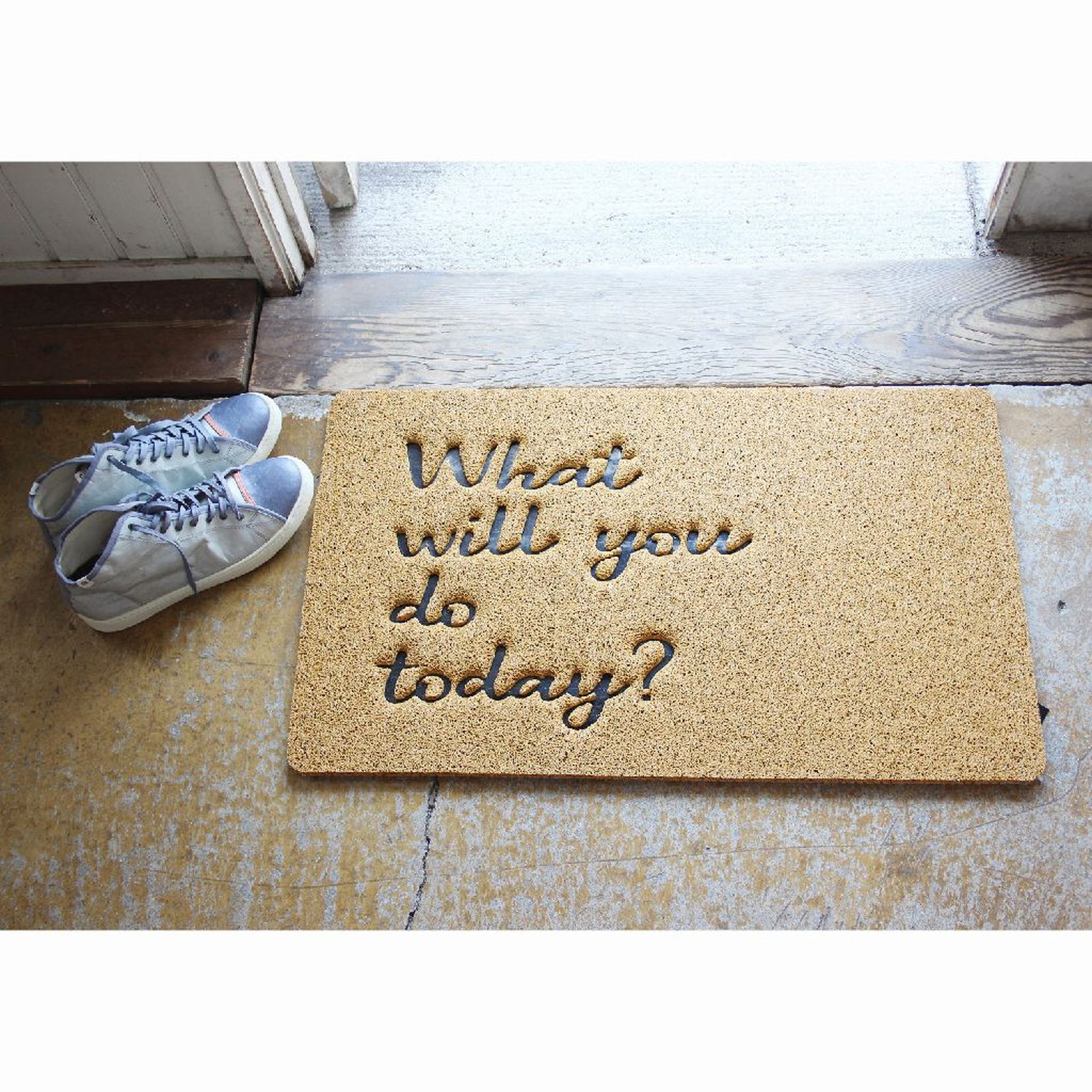 ylzsz(2)ӂӂ׽ϯ What will you do today