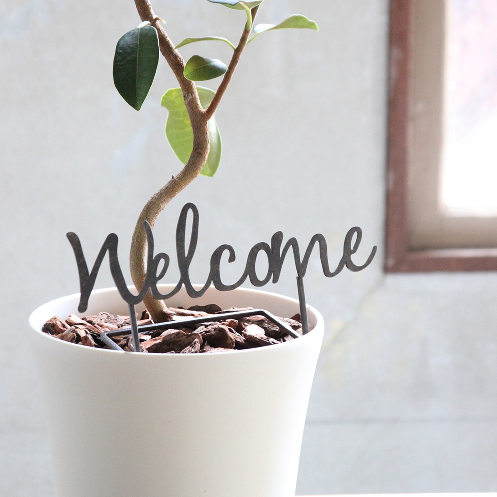 ylzsz޺WelcomeׯL