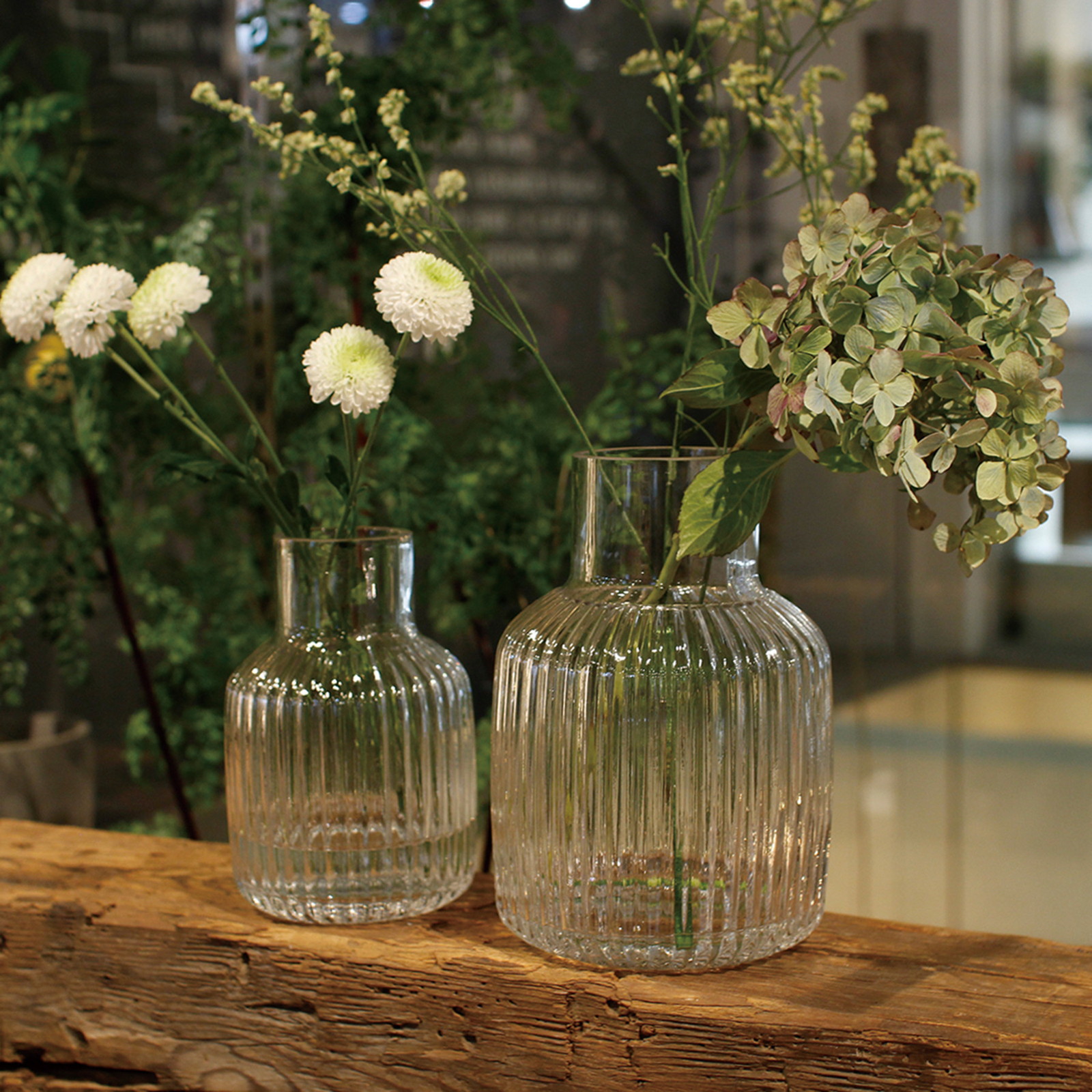 ylzsz(2)ܰް  ر L