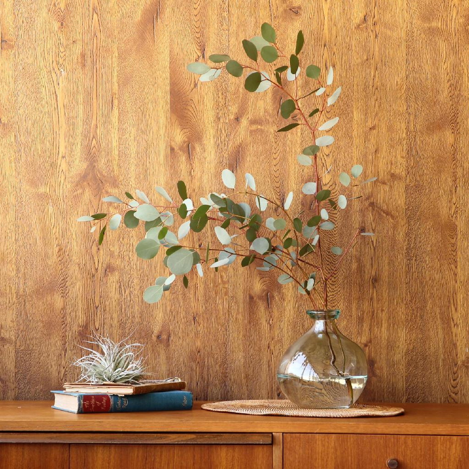 ylzszVALENCIAػٶ׽ܰްDIECIOCHO