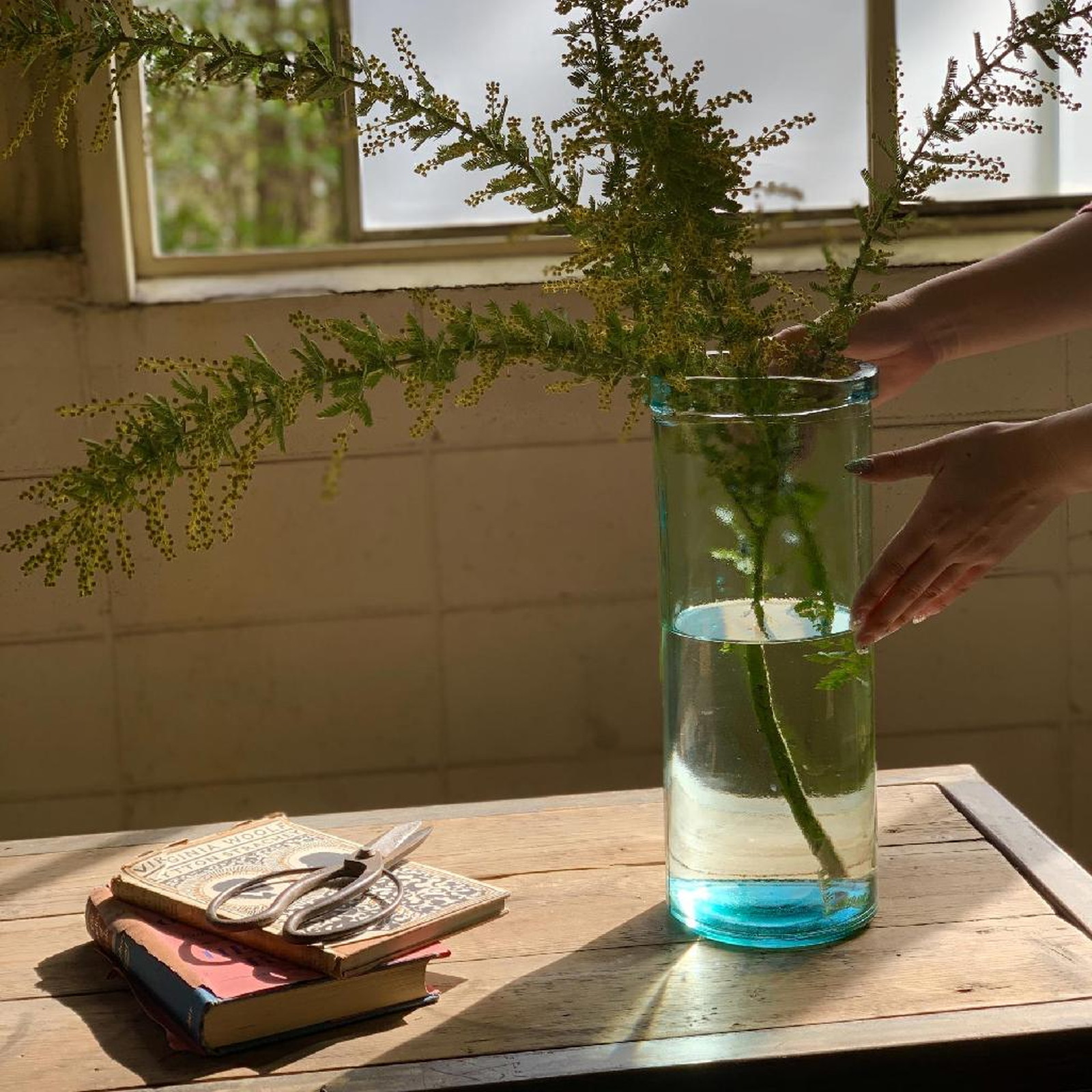 ylzszVALENCIAػٶ׽ܰްQUINCE