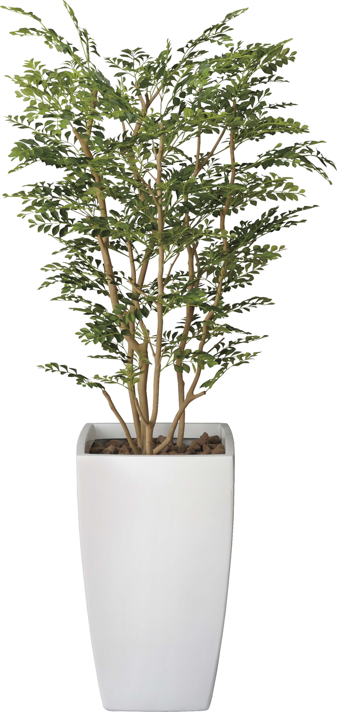 【メーカー仕様切替の為廃盤】【送料別途】ア-トゴ-ルデンツリ-1.8