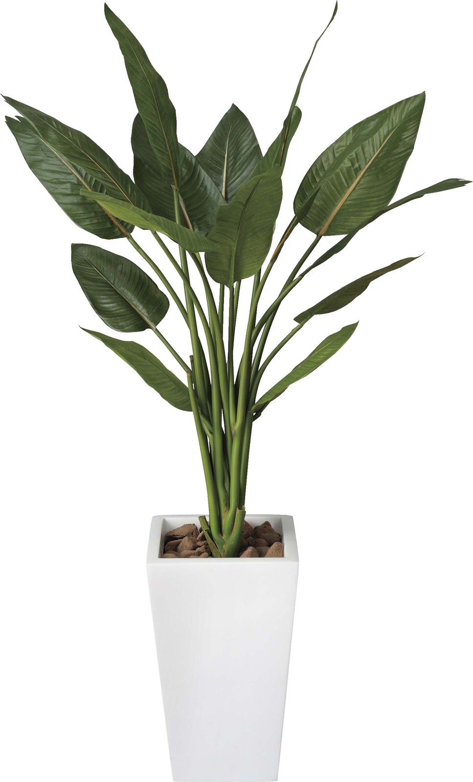 【メーカー仕様切替の為廃盤】【送料別途】ストレチアW1.3