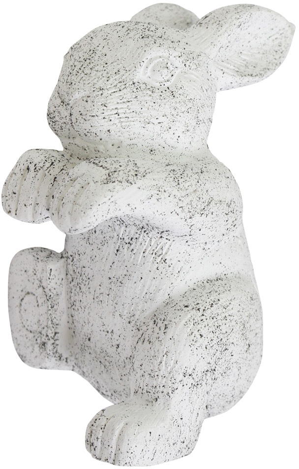 【個人宅不可】ハンギングラビットL