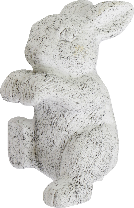 【個人宅不可】ハンギングラビットM