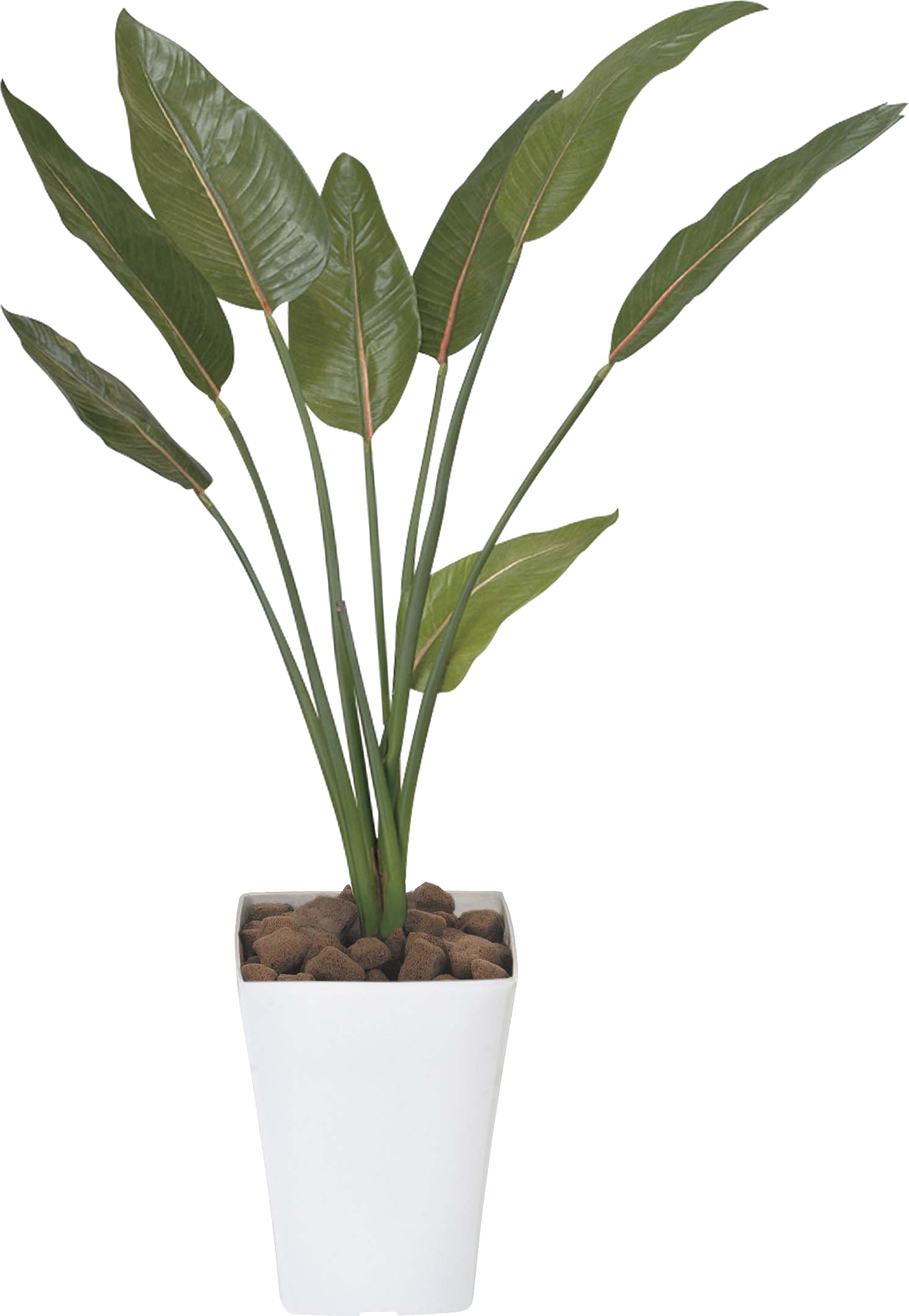 【メーカー仕様切替の為廃盤】【送料別途】ストレチア 1.1