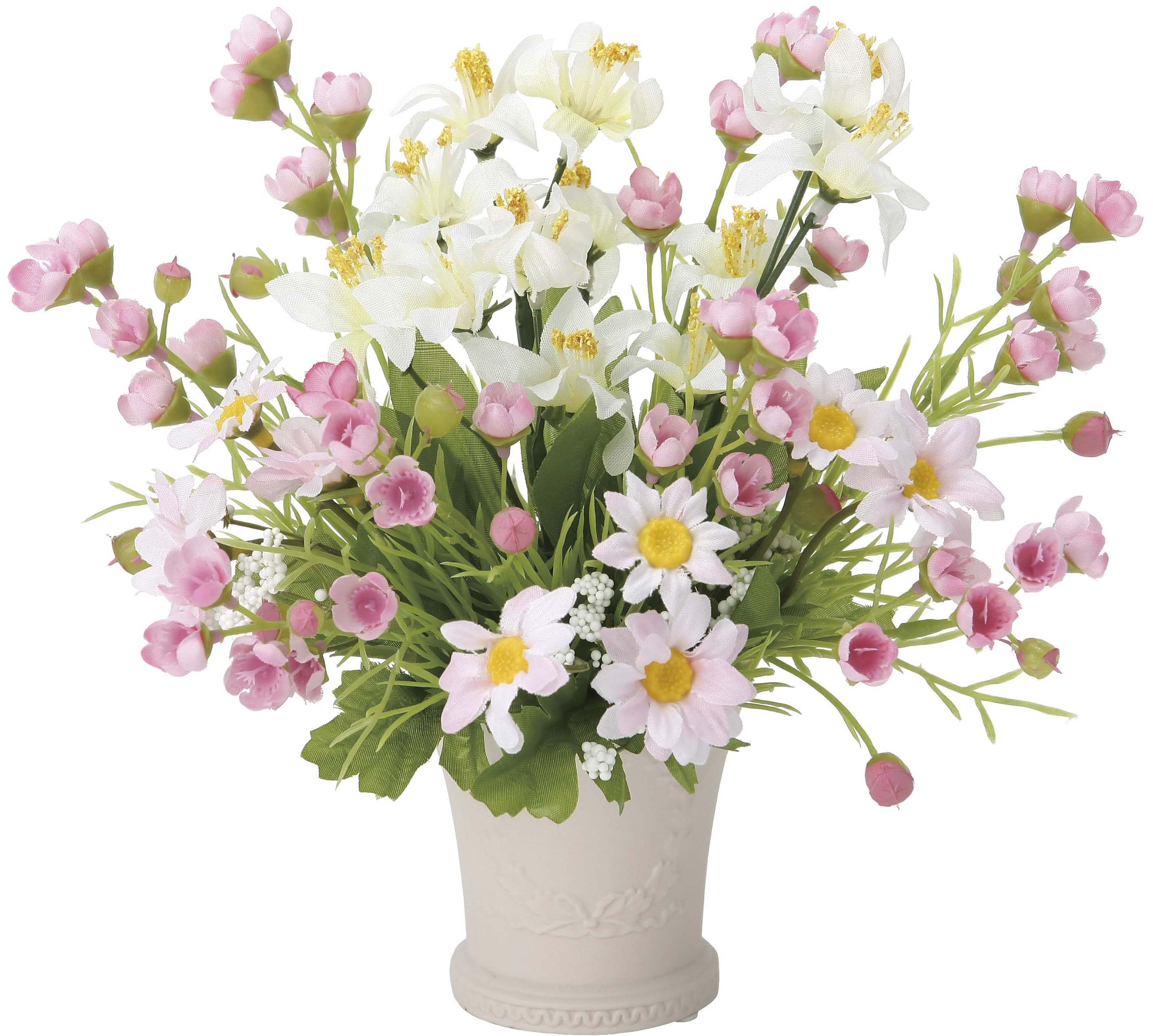 【送料別途】スイ-トカップ