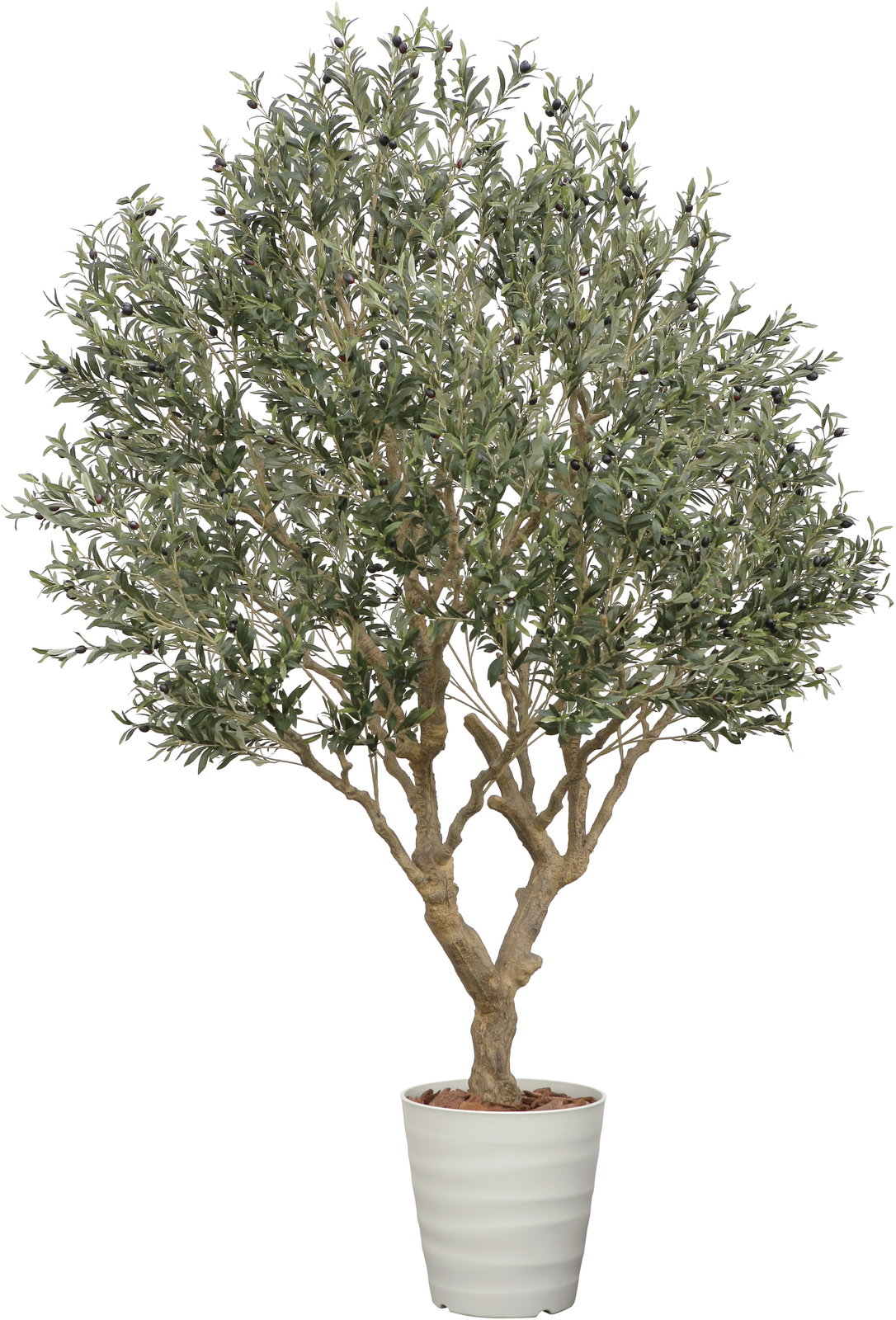 【送料別途】DXオリーブ2.5(組立式)