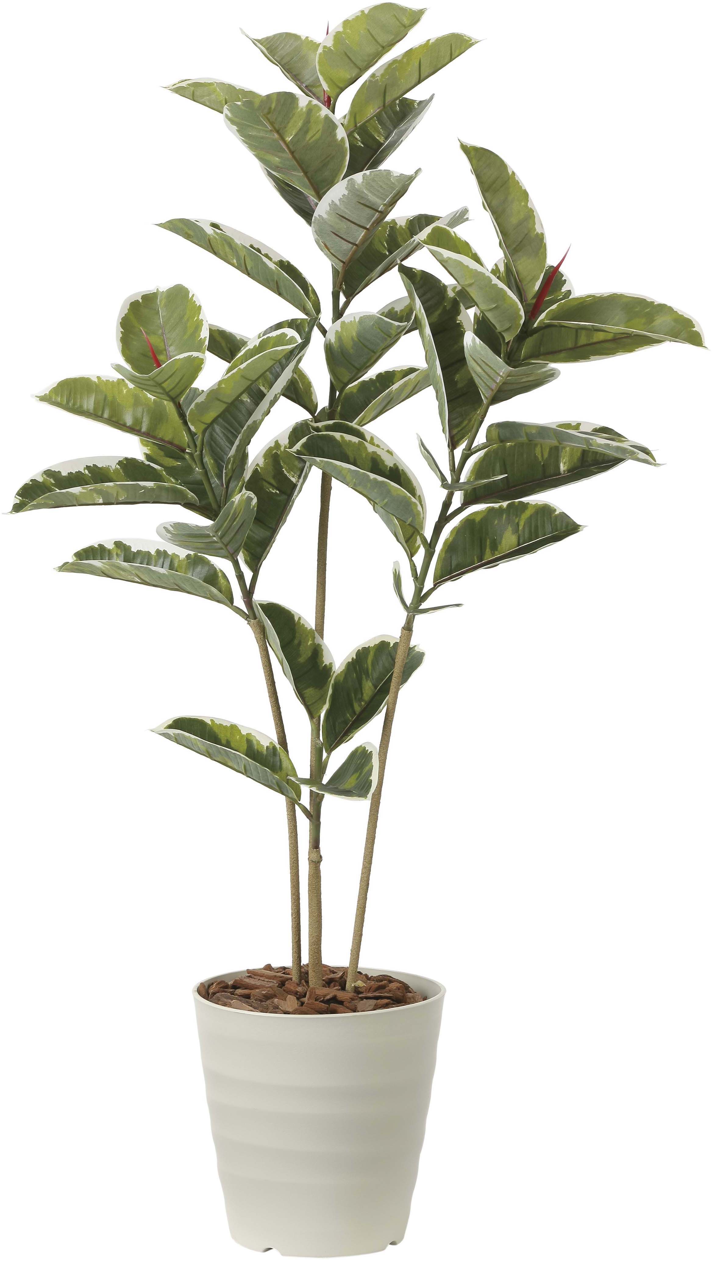 【メーカー仕様切替の為廃盤】【送料別途】アルテシマ1.2