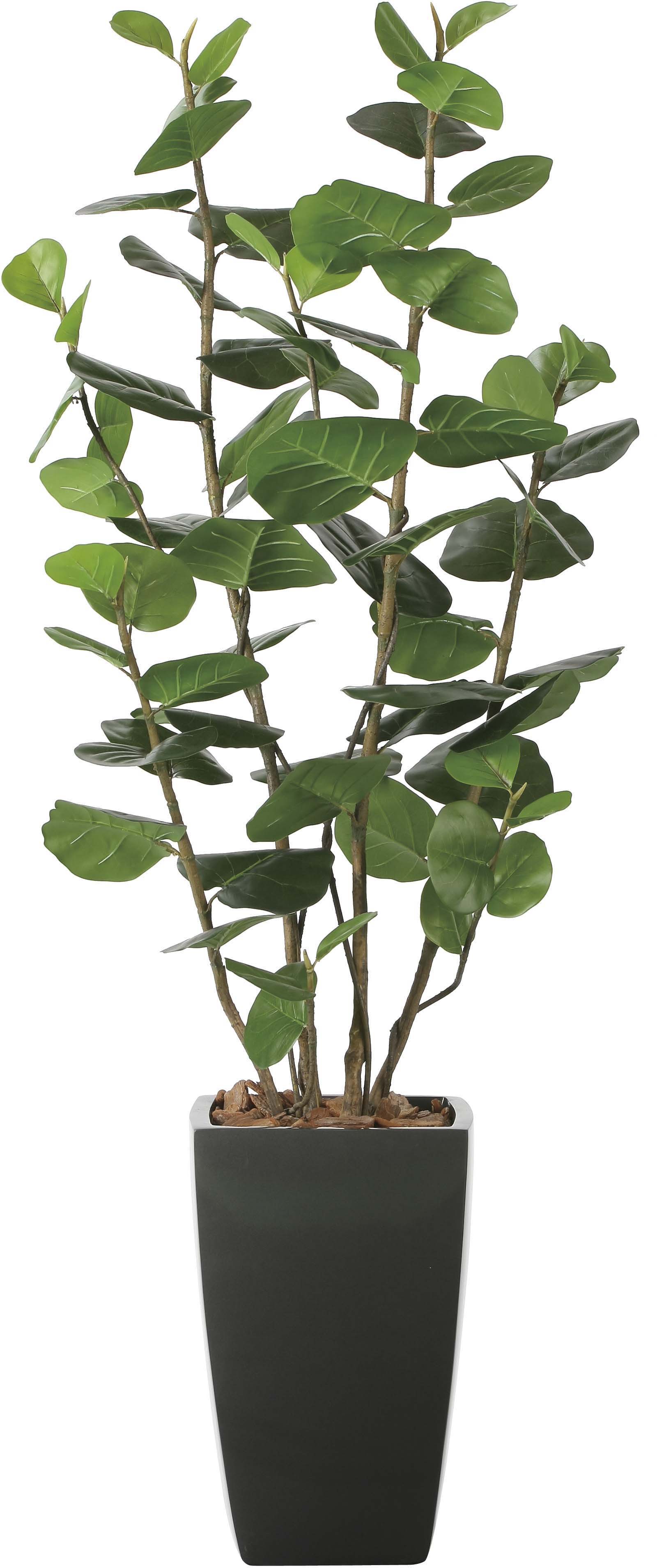 【メーカー仕様切替の為廃盤】【送料別途】アーバンシーグレープ1.8