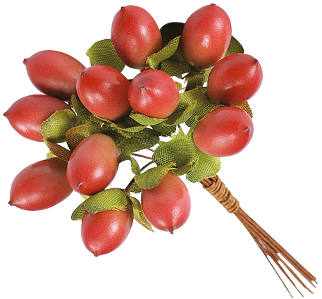 ヒペリカム レッド