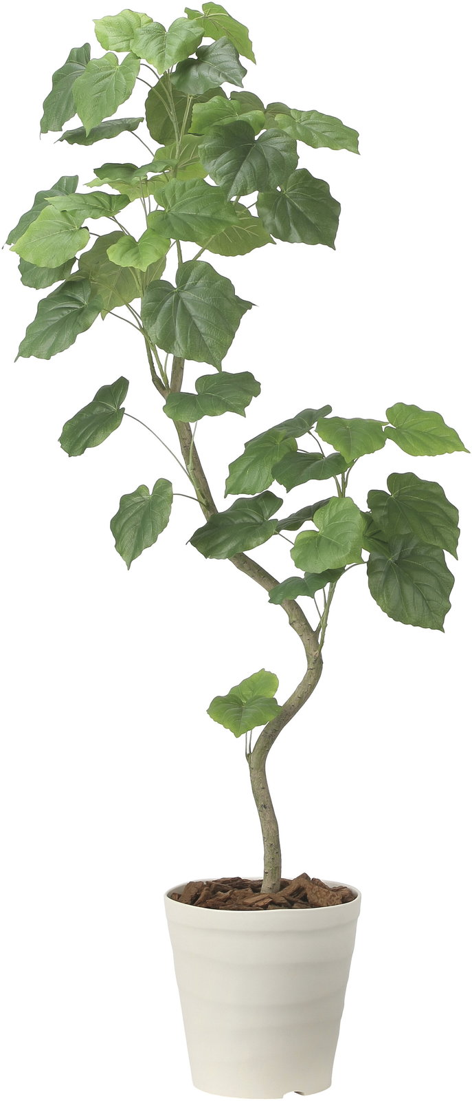 【送料別途】ツイストウンベラータ1.6