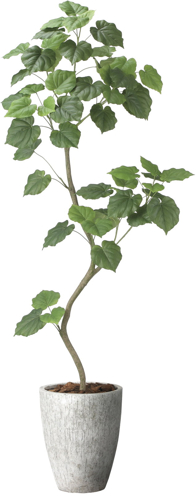 【送料別途】ナチュラルウンベラータ1.9(組立式)