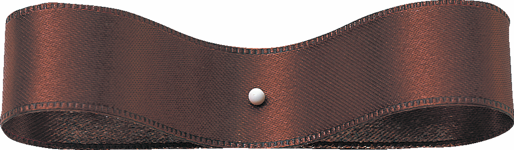 DSサテン 72X30m 色番14