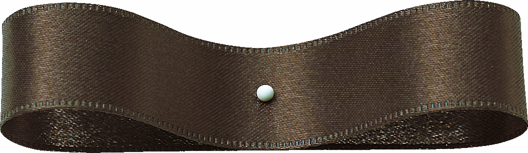 DSサテン 72X30m 色番21