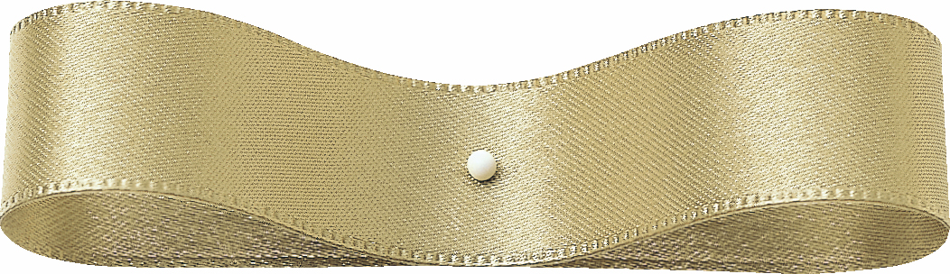 DSサテン 72X30m 色番24