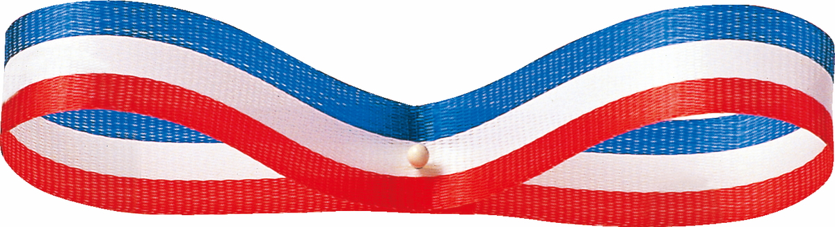 フランスリボン12X30M