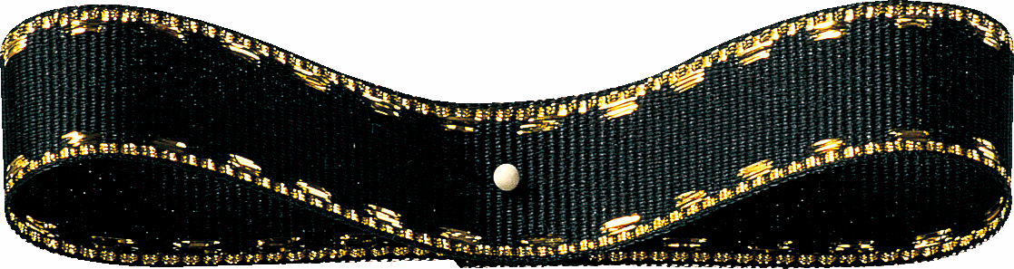 ダニューブ8X22M