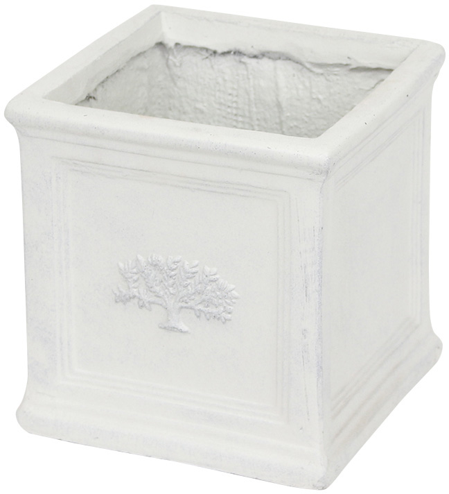 �y�l��s�z�����߯�̫ڽ�6��White