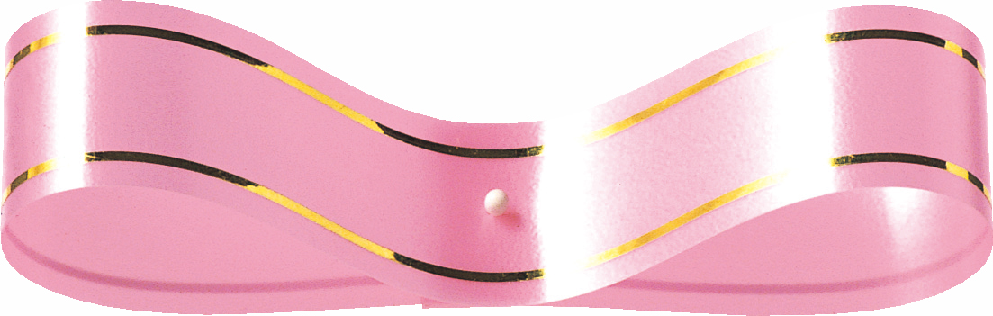 PPリボン金線入リ 18X120 色番4