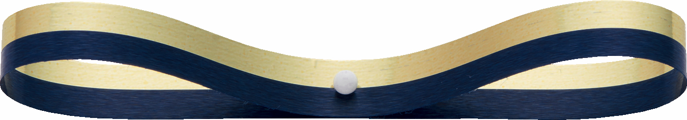 ハーフサイド 7X50M