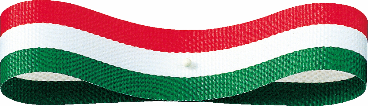 �ؽ�ײ�� 12X30m �F��1