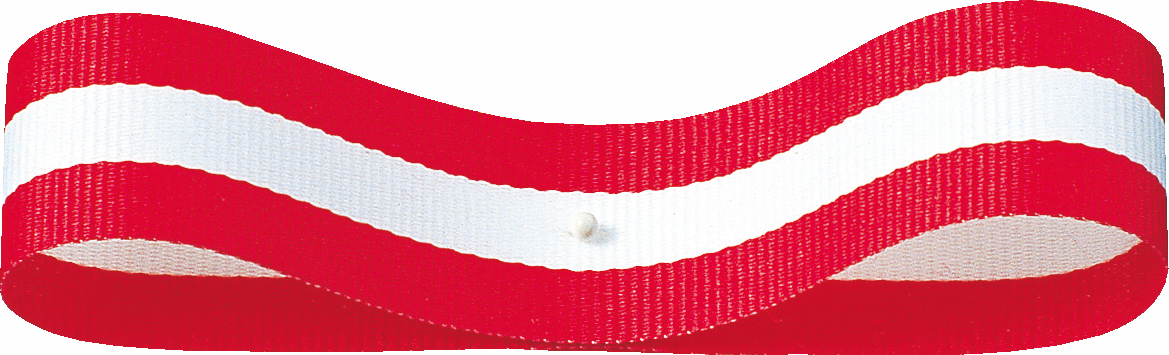 トリストライプ 8X30m 色番2