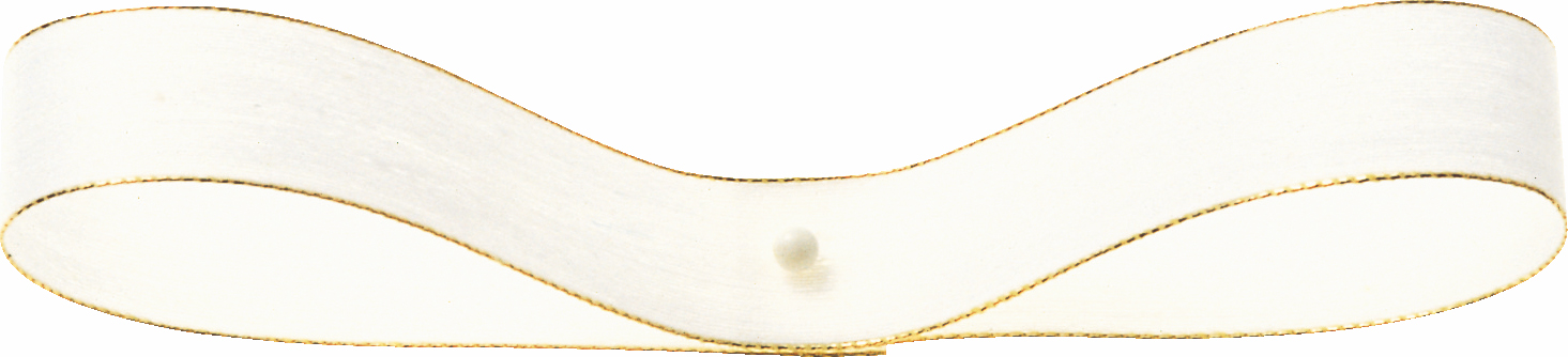 ノーチェ・G 10X40m 色番1