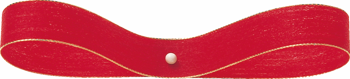 ノーチェ・G 10X40m 色番47