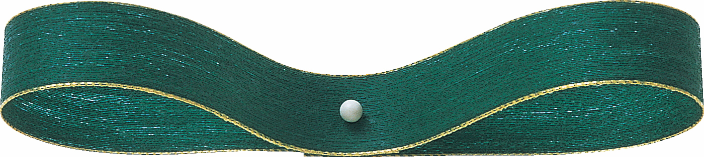 ノーチェ・G 10X40m 色番62