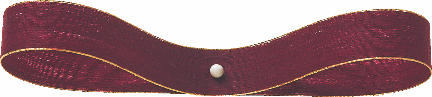 ノーチェ・G 10X40m 色番67