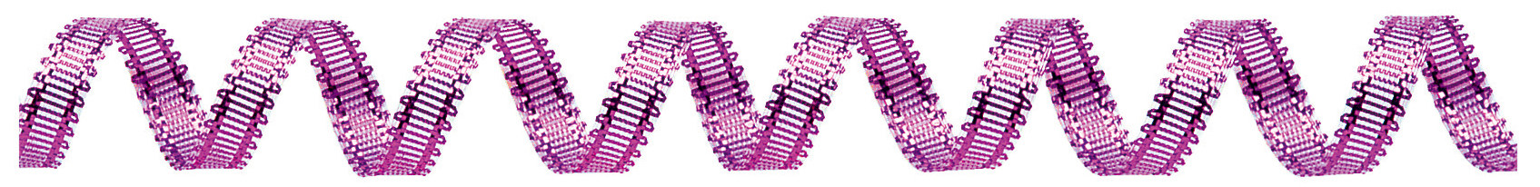 カーリングメタリック 8X30m 色番5