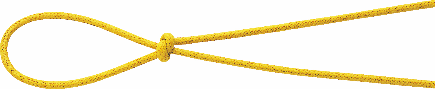 �׺��� ��2X50m �F��2