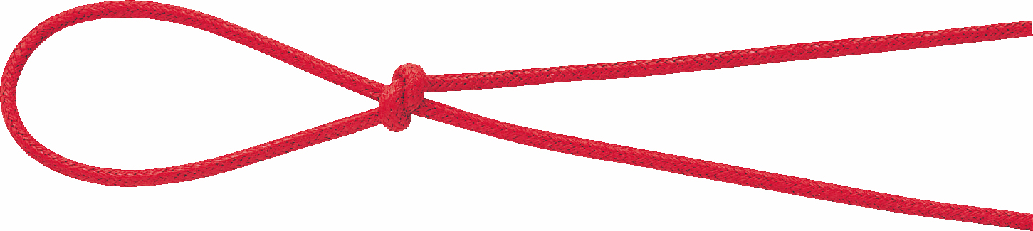 �׺��ޖ�2X50M