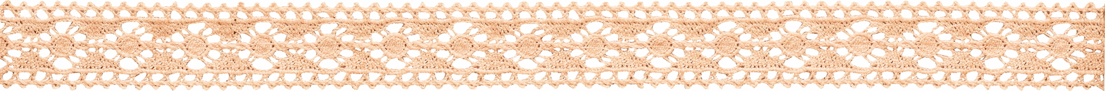 レース・オーガニックコットン251 約16X3m 色番6