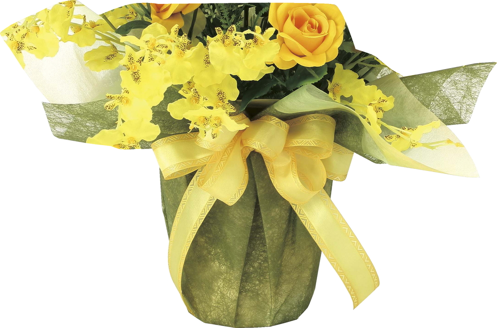 【メーカー仕様切替の為廃盤】【送料別途】サニ−エ−ス