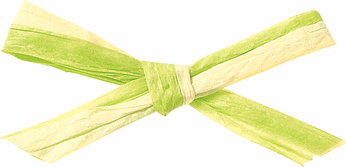 ペーパーラフィアW 91m2色巻 色番2