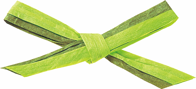 ペーパーラフィアW 91m2色巻 色番7