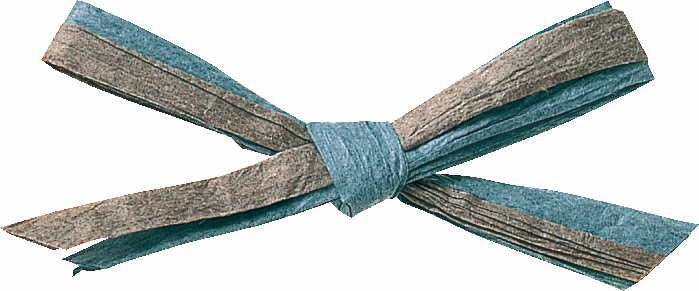 ペーパーラフィア・W約5X91M2ショクマキ