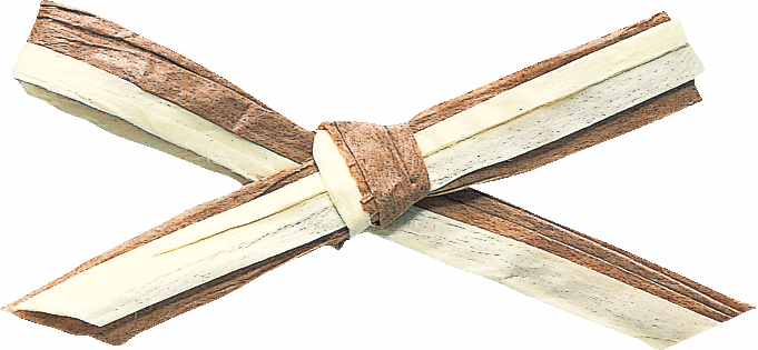 ペーパーラフィア・W約5X91M2ショクマキ