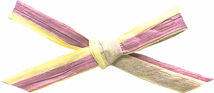 ペーパーラフィアW 91m2色巻 色番16