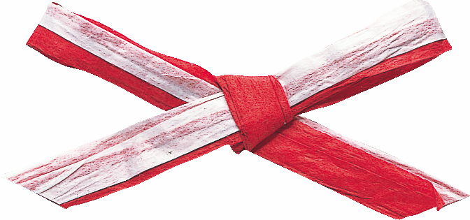 ペーパーラフィアW 91m2色巻 色番19