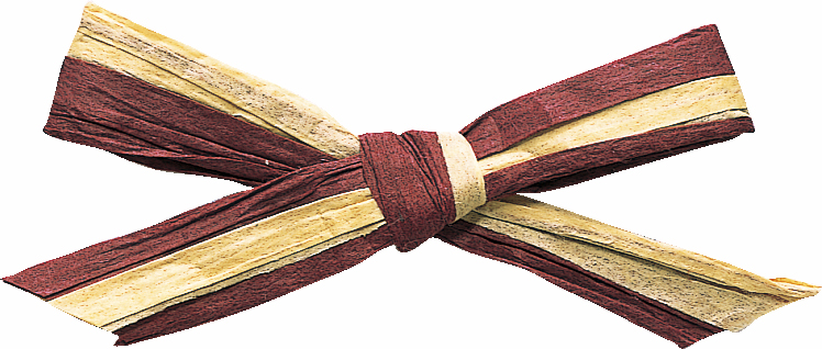 ペーパーラフィアW 91m2色巻 色番21