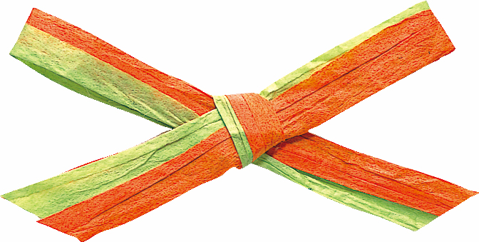 ペーパーラフィア・W約5X91M2ショクマキ