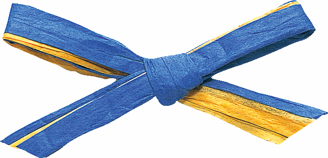 ペーパーラフィア・W約5X91M2ショクマキ